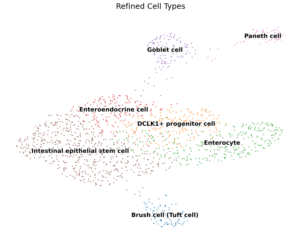 Refined cell types
